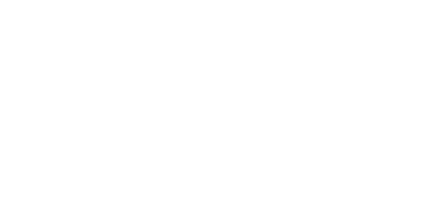 Max Schmiedl